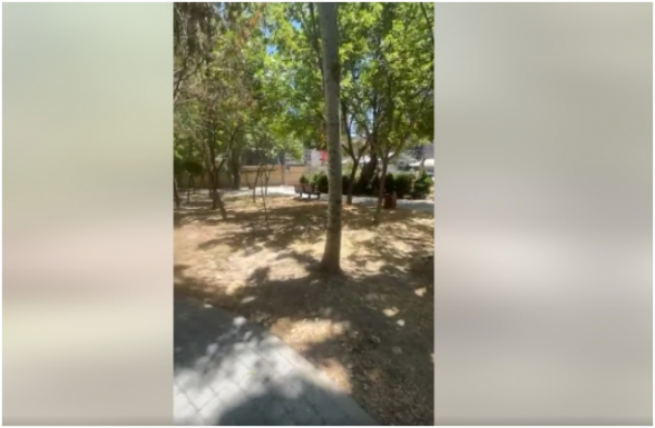 Դավթաշենի նորակառույց այգին չունի ոռոգման համակարգ՝ ծառերը չորանում են (տեսանյութ)